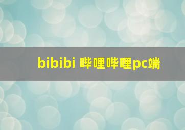 bibibi 哔哩哔哩pc端